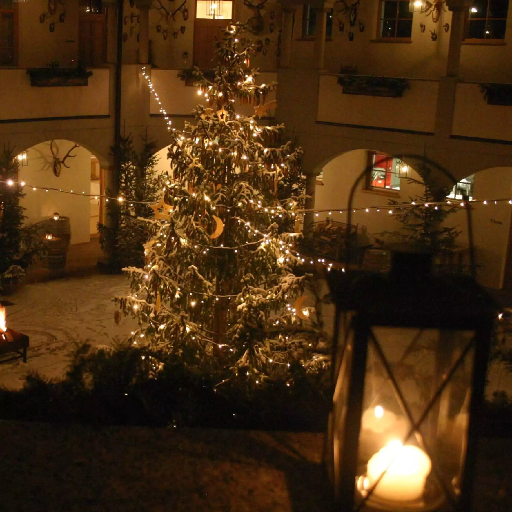 Abbildung der Product Advent Zauber