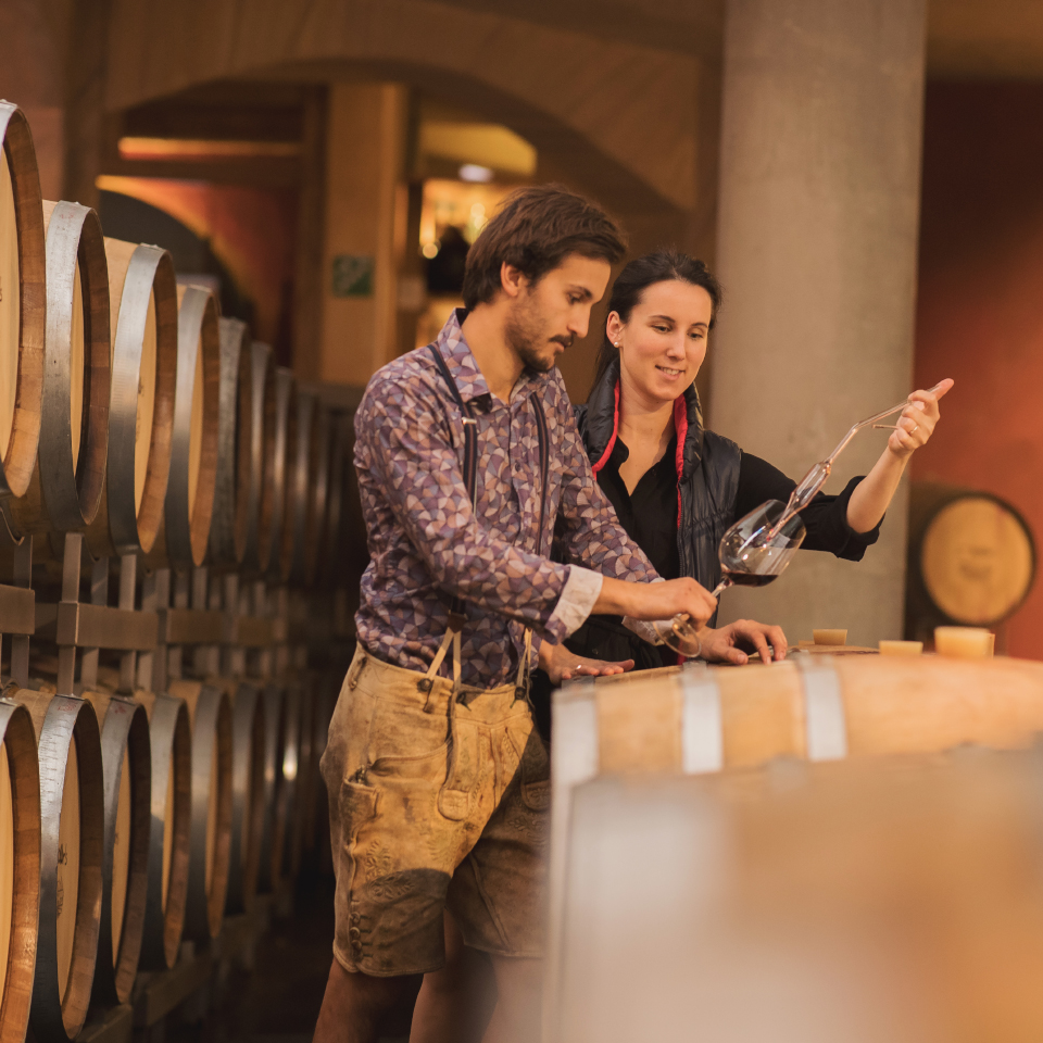 Abbildung der Produkt Menü zum Cabernet Sauvignon