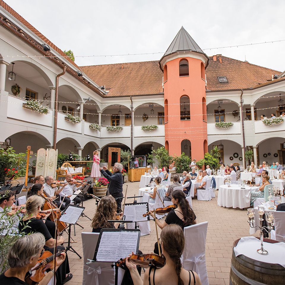 Abbildung der Produkt Klassik & Dinner „Sommerabend“