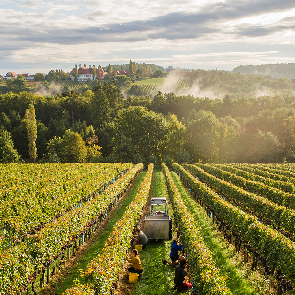 Abbildung der Produkt Vivaldi Herbst